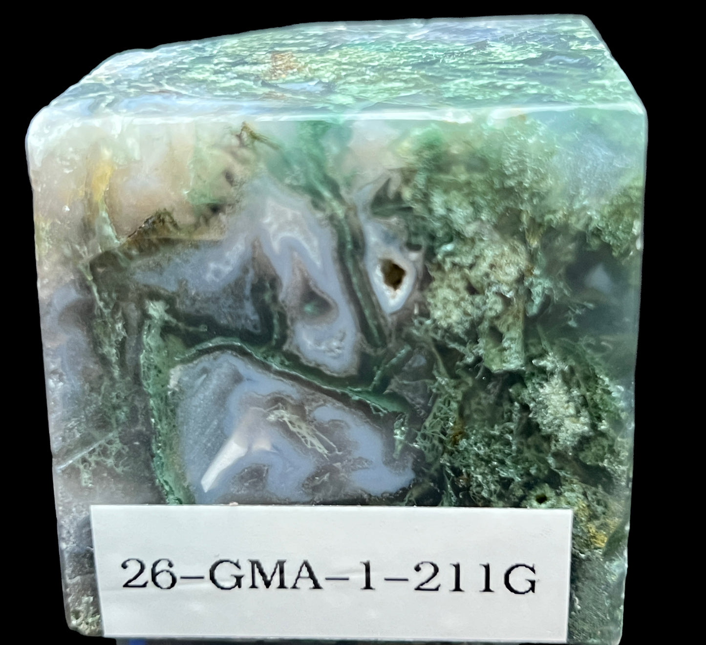 Aphrodite’s Garden Stone - Moss Agate Dendritic Druzy Specimen – Aphrodite’s Winter Glow