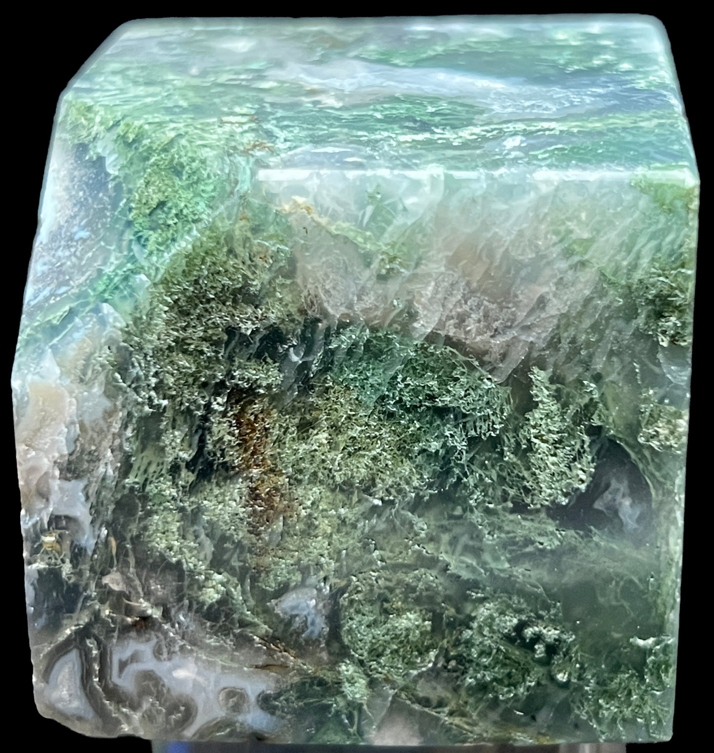 Aphrodite’s Garden Stone - Moss Agate Dendritic Druzy Specimen – Aphrodite’s Winter Glow