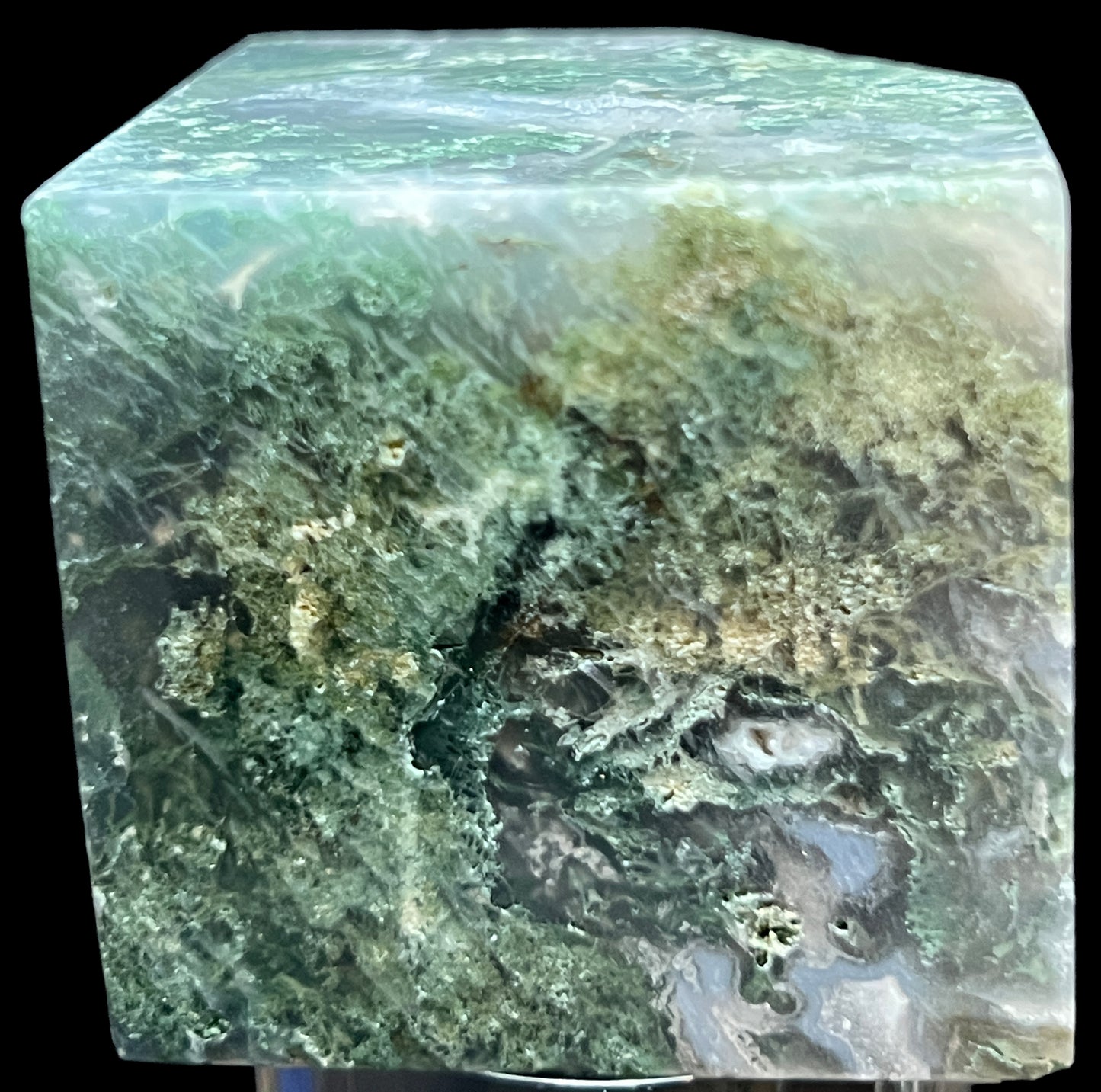 Aphrodite’s Garden Stone - Moss Agate Dendritic Druzy Specimen – Aphrodite’s Winter Glow