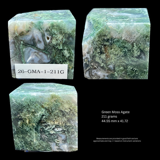 Aphrodite’s Garden Stone - Moss Agate Dendritic Druzy Specimen – Aphrodite’s Winter Glow