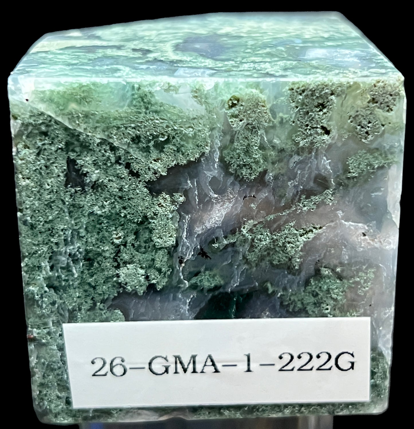 Aphrodite’s Garden Stone - Moss Agate Dendritic Druzy Specimen – Aphrodite’s Winter Glow