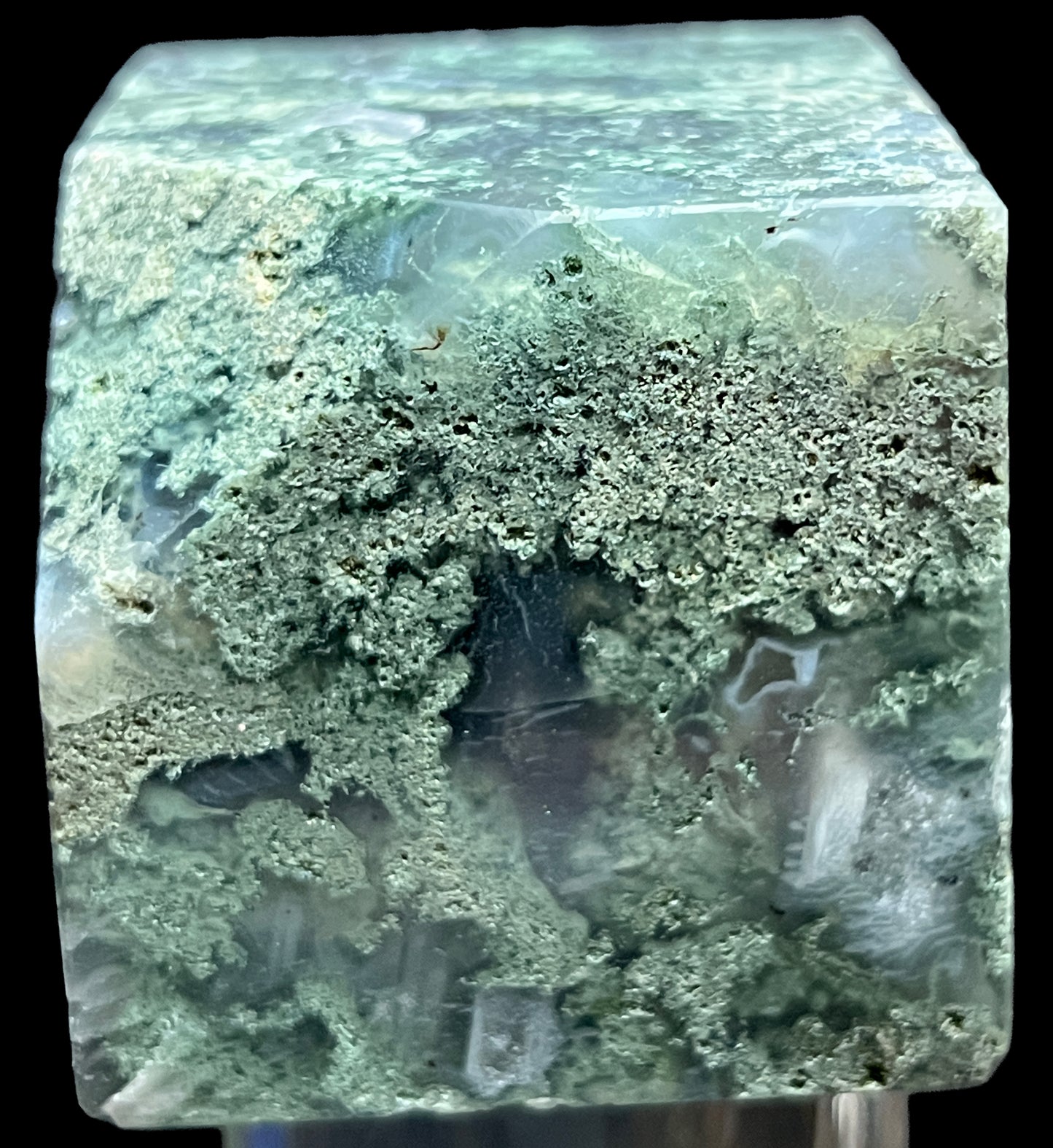 Aphrodite’s Garden Stone - Moss Agate Dendritic Druzy Specimen – Aphrodite’s Winter Glow