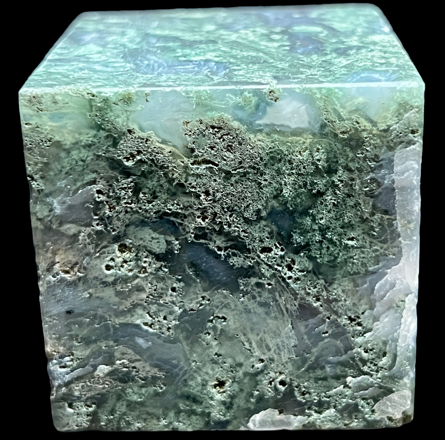 Aphrodite’s Garden Stone - Moss Agate Dendritic Druzy Specimen – Aphrodite’s Winter Glow