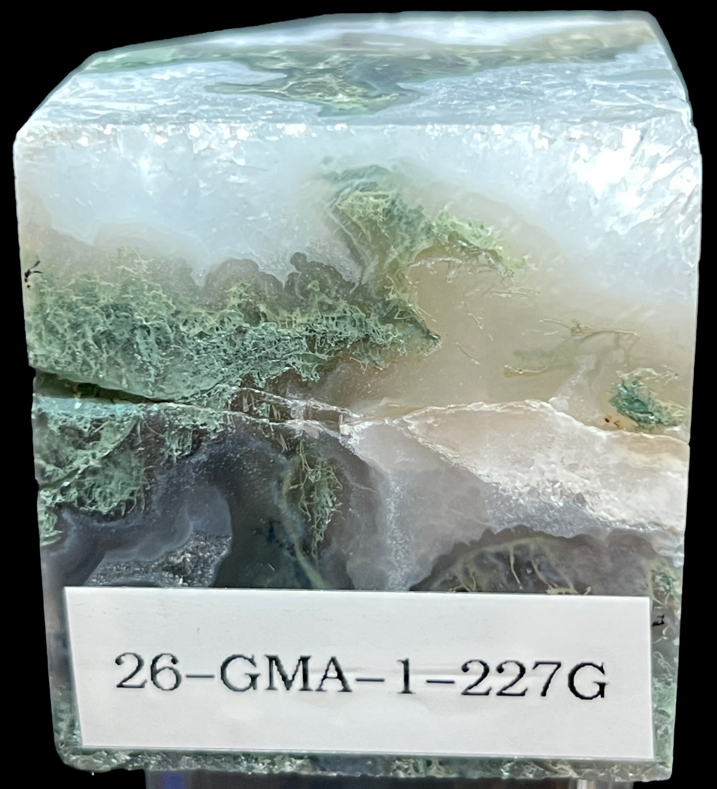 Aphrodite’s Garden Stone - Moss Agate Dendritic Druzy Specimen – Aphrodite’s Winter Glow