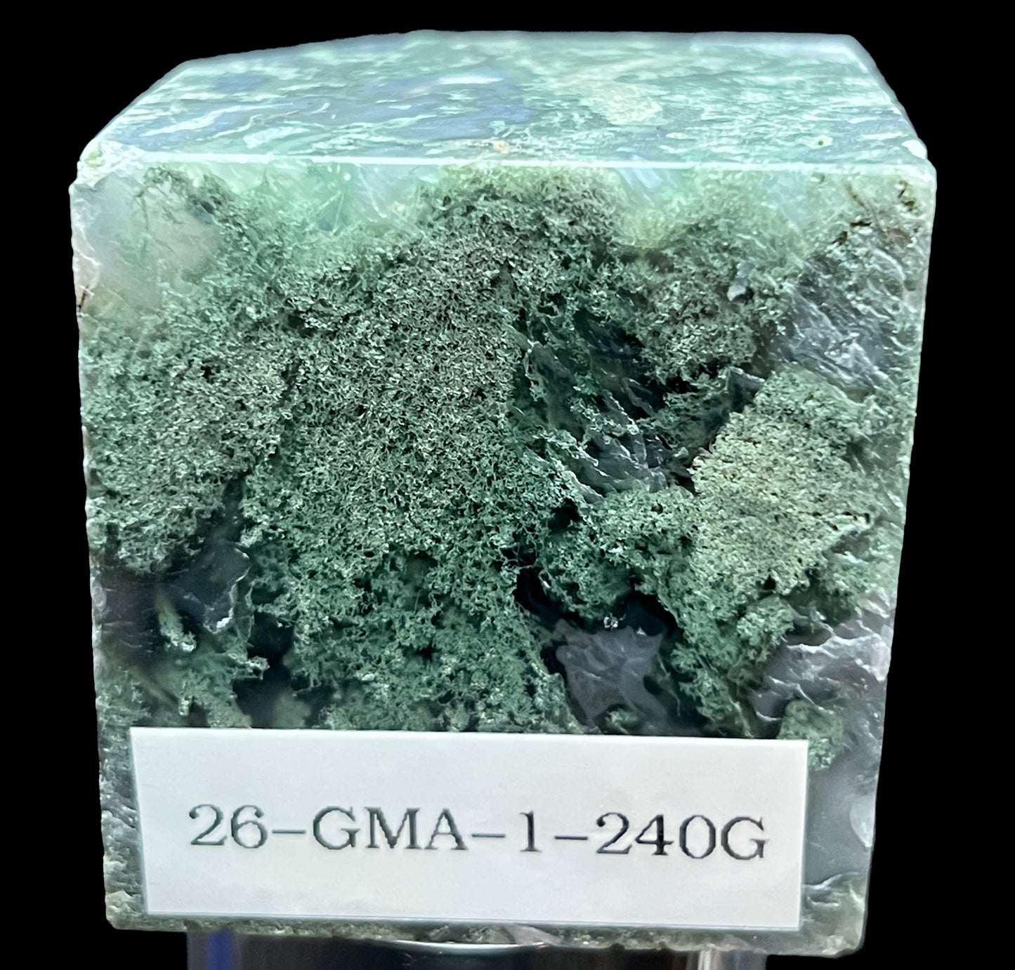 Aphrodite’s Garden Stone - Moss Agate Dendritic Druzy Specimen – Aphrodite’s Winter Glow