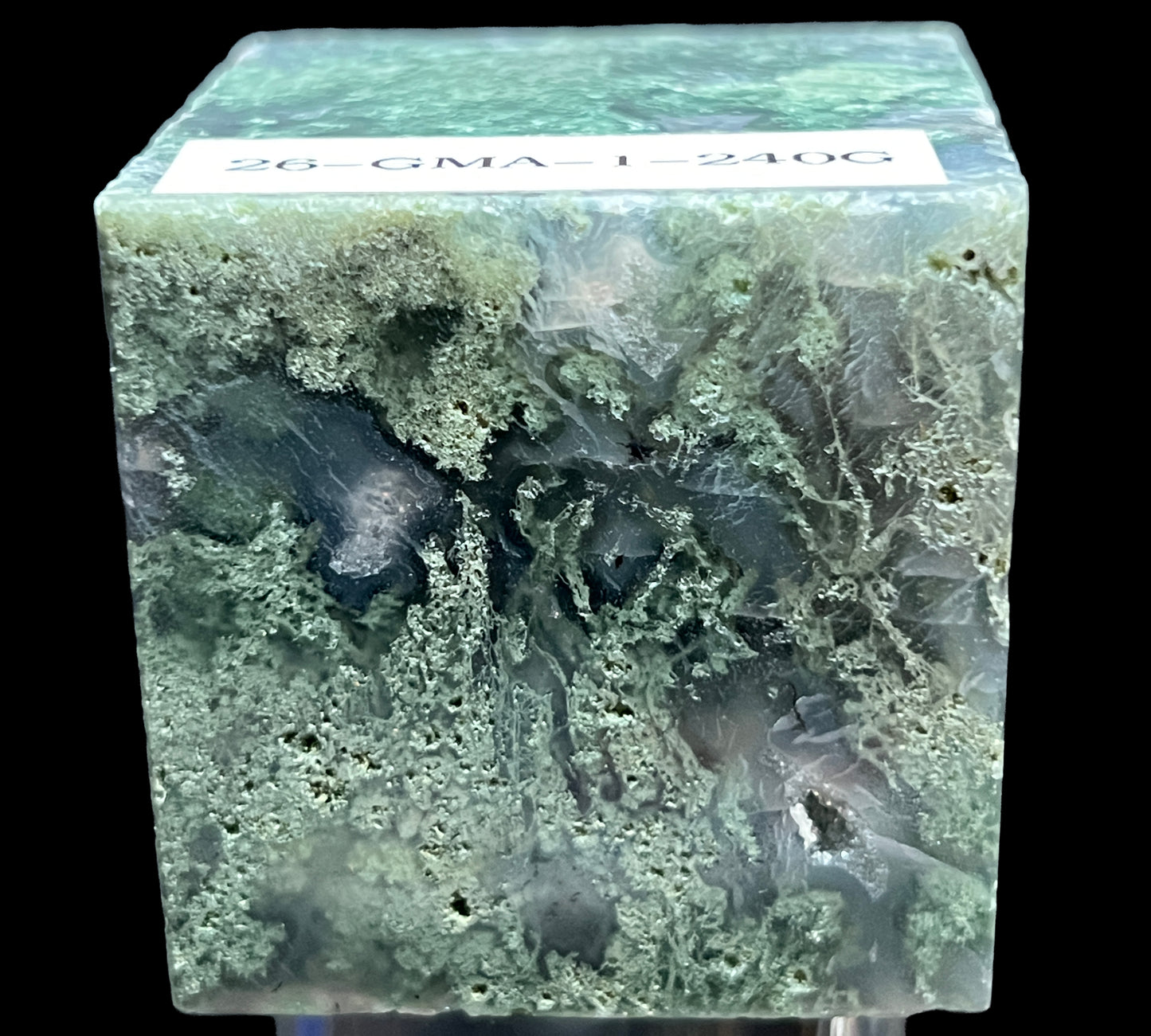 Aphrodite’s Garden Stone - Moss Agate Dendritic Druzy Specimen – Aphrodite’s Winter Glow