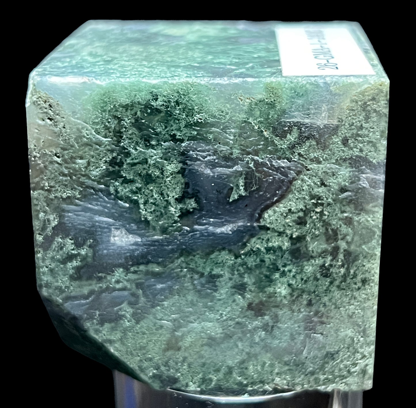 Aphrodite’s Garden Stone - Moss Agate Dendritic Druzy Specimen – Aphrodite’s Winter Glow