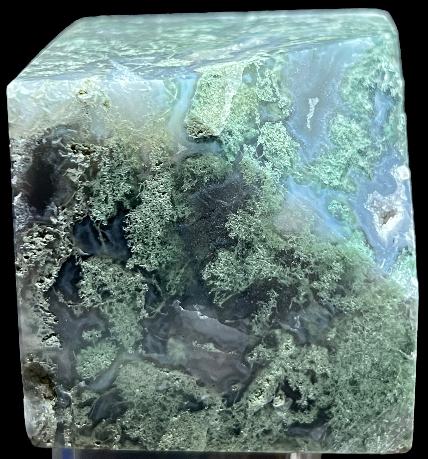 Aphrodite’s Garden Stone - Moss Agate Dendritic Druzy Specimen – Aphrodite’s Winter Glow