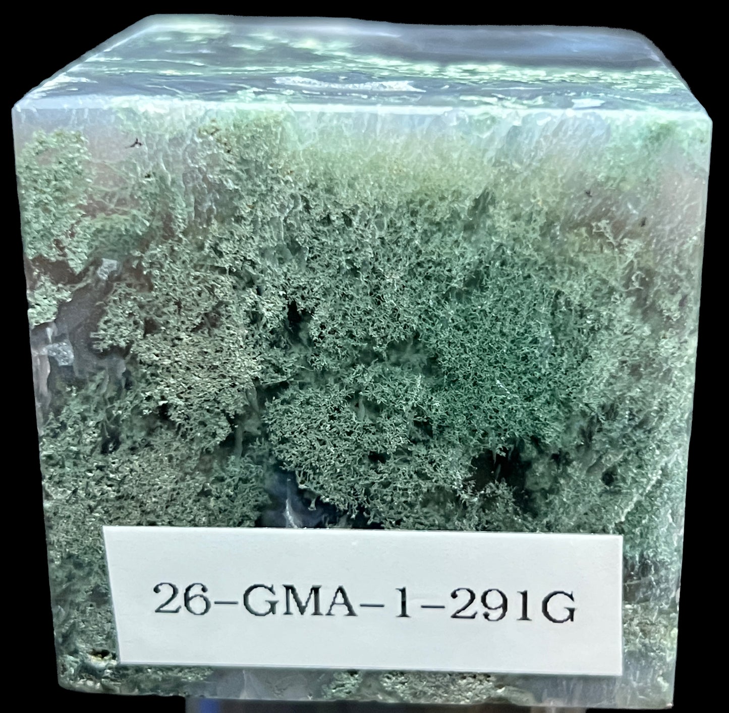 Aphrodite’s Garden Stone - Moss Agate Dendritic Druzy Specimen – Aphrodite’s Winter Glow