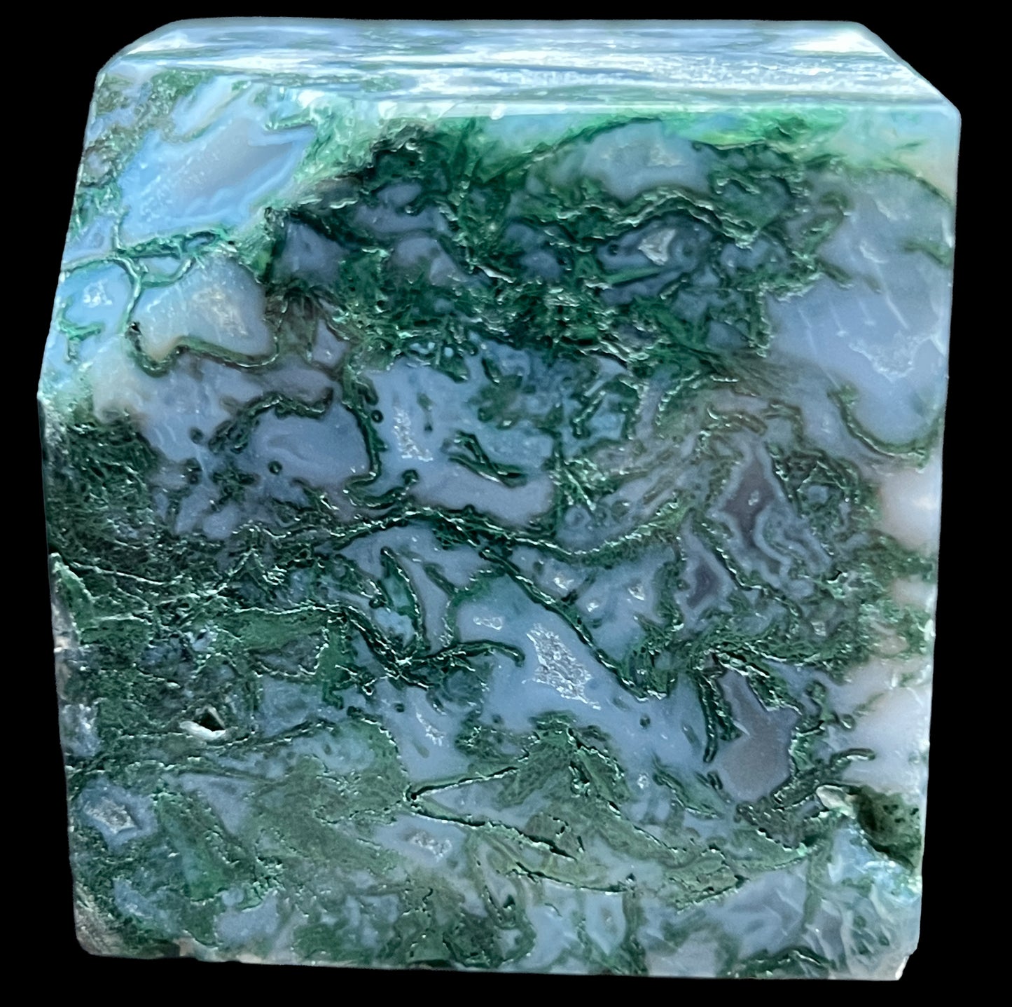 Aphrodite’s Garden Stone - Moss Agate Dendritic Druzy Specimen – Aphrodite’s Winter Glow