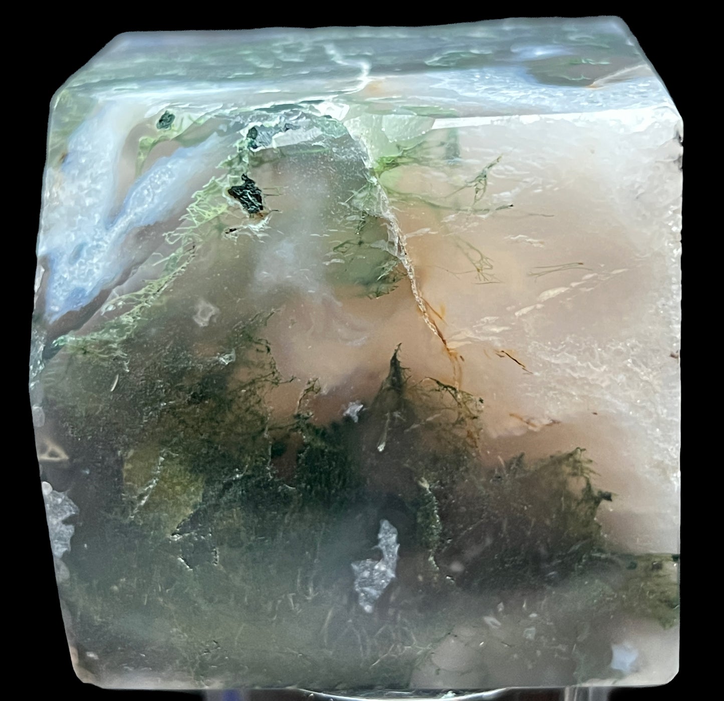 Aphrodite’s Garden Stone - Moss Agate Dendritic Druzy Specimen – Aphrodite’s Winter Glow