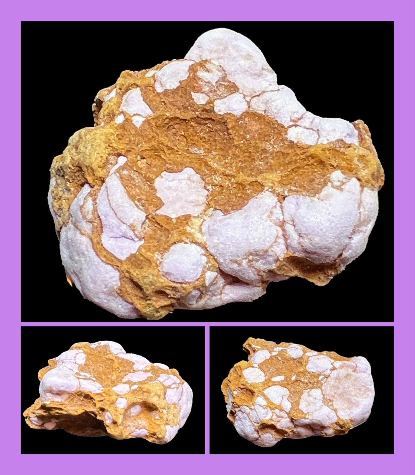 Close-up of a rock with white and brown patterns on a black background