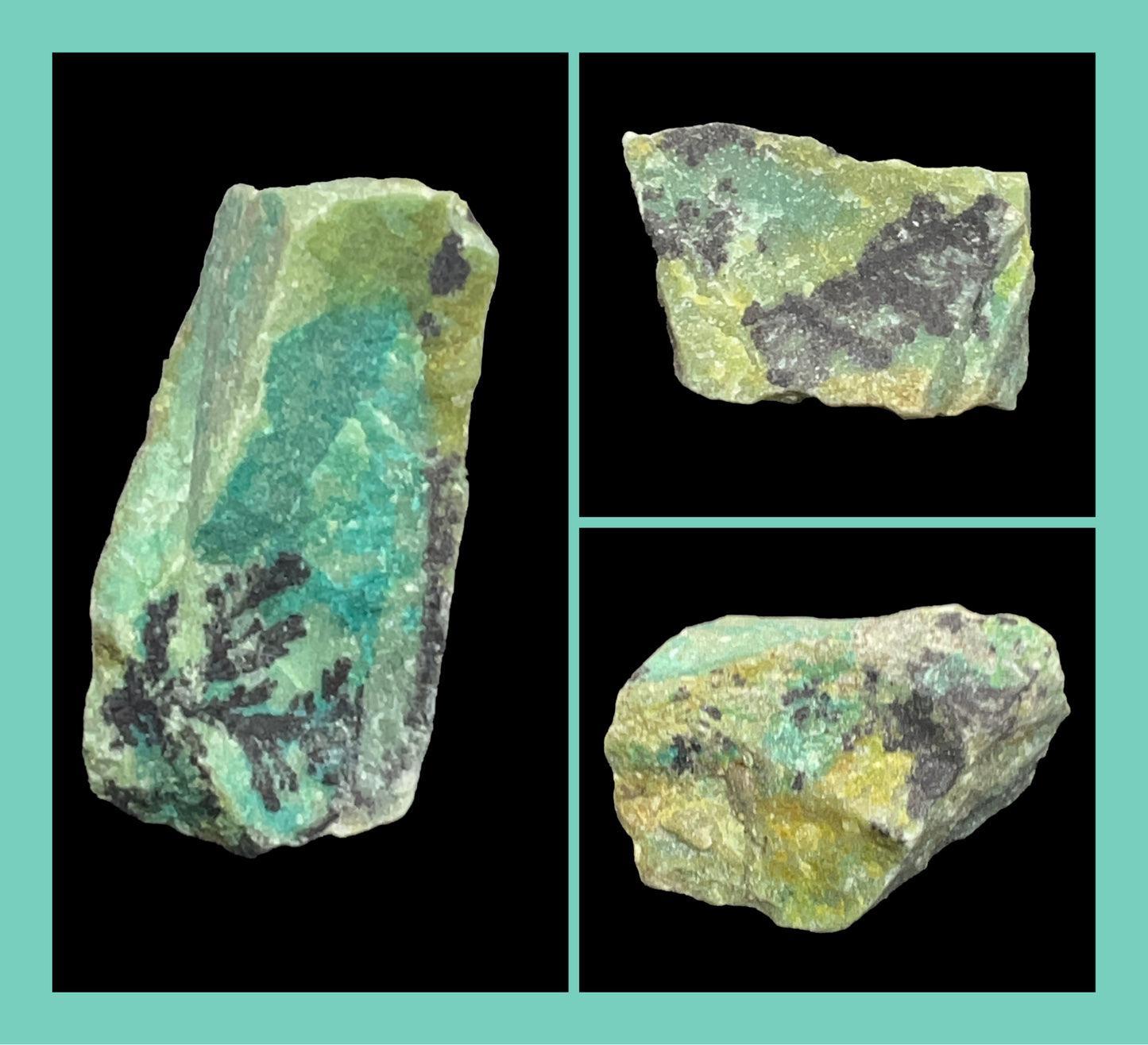 Three views of a green and black mineral specimen on a teal background