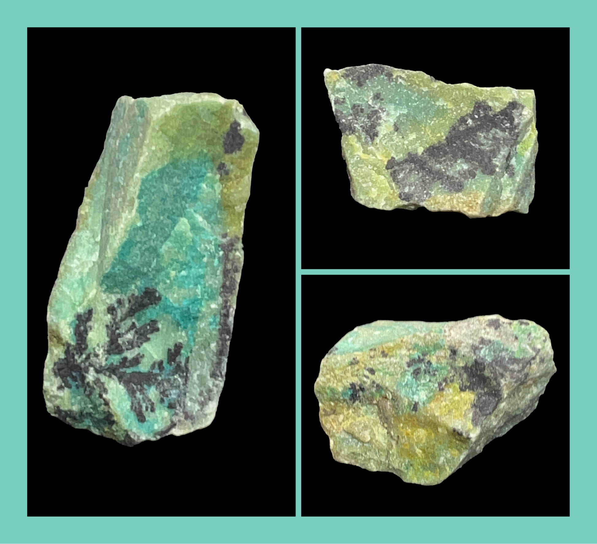 Three views of a green and black mineral specimen on a teal background