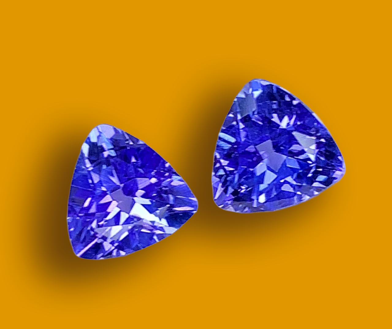 Frosted Vision | Blue Tanzanite Trilliant 1.0 ct Stud Earrings in 925 Sterling Silver | Skadi's Winter Frost